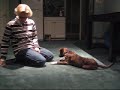 Dexter does tricks