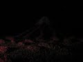 浜名湖立体花博（０９．１１．０８）