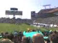 Go USF Bulls!