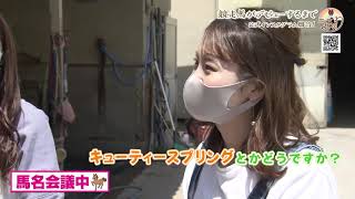 #47 競走馬がデビューするまで