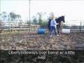 Natural Horsemanship Instructor