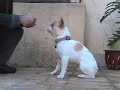 See video