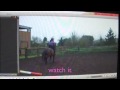 imovie basics-Effects, Colour, Speed, Reverse, Music.