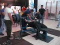 weight lifting- in tamra- 270 kelo weight lifting- in tamra- 270 kelo