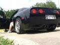 videos de z06 vette cammed