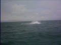 Ballena Jorobada Ballena Jorobada