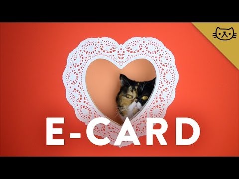 7 Valentine's Day E-cards from Pudge the Cat