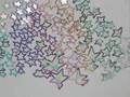 立花はんはテクニシャン!?の巻~
