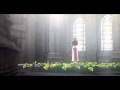 crisis-core-comatose-skillet.html