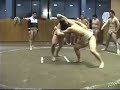 Hard Road to Glory-the remake