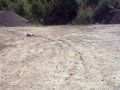 Kurze fahrt mit dem Flux