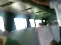 videos de lobos tlaxcala