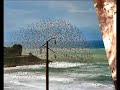 photos de jijel, corniche jijelienne, nature jijel alg�rie, mon beau pays, paysages de jijel, plages de jijel, grand far ras al afia, ouana, ziama monsouria, crique, singe magot,anachid, anacheed, fidaka rassoul allah,ya allah,.......