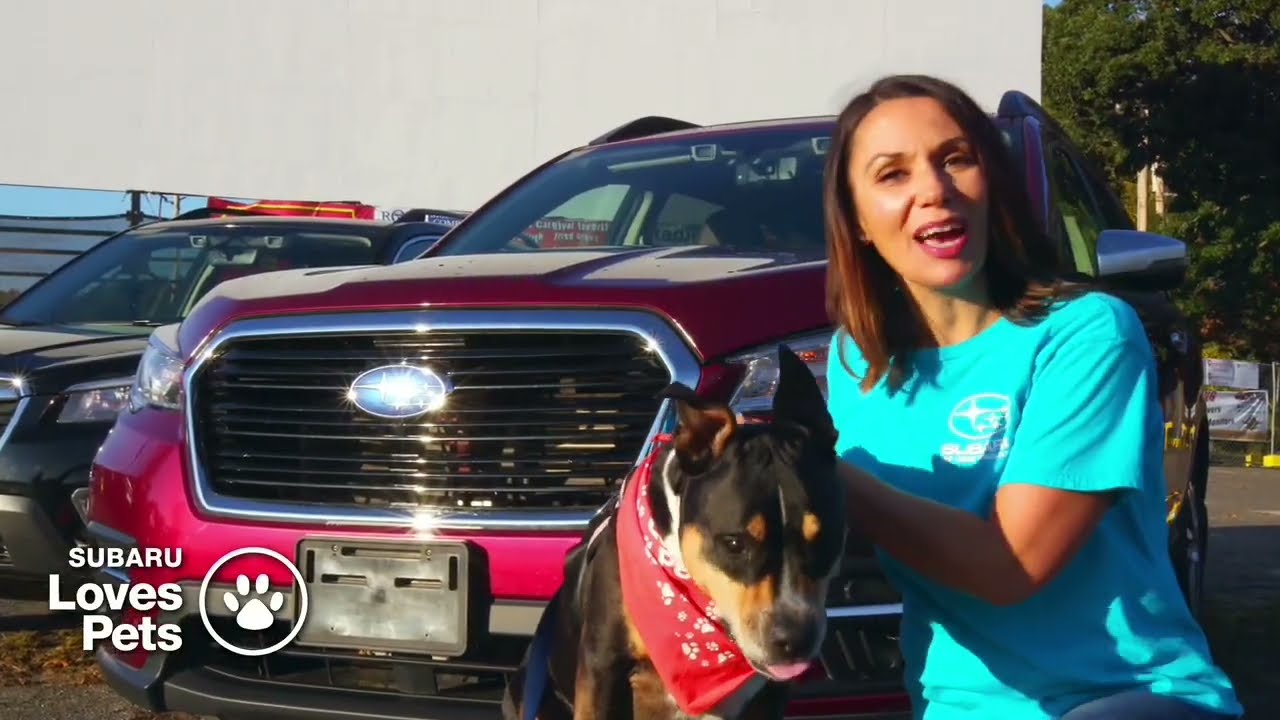 Subaru of New England Loves Pets Month