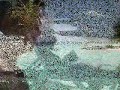 Vilu Reef で リゾート ～ Maldives モルディブ ～