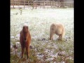 Brontide - Jura - YouTube