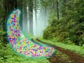 Migraine Aura Migraine Aura