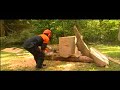 STIHL Chainsaw Wood Carving