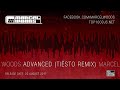 Marcel Woods - Advanced (tiësto Remix)