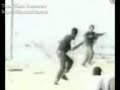 palestine