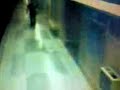Violencia de las bandas latinas en el metro de Madrid