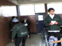 Simio del coco Simio del coco
