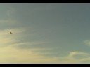 Plane blue F-22