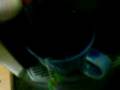 videos de BML02120824131