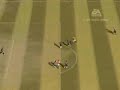 avto gol