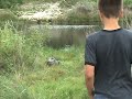 Gator Guy #5