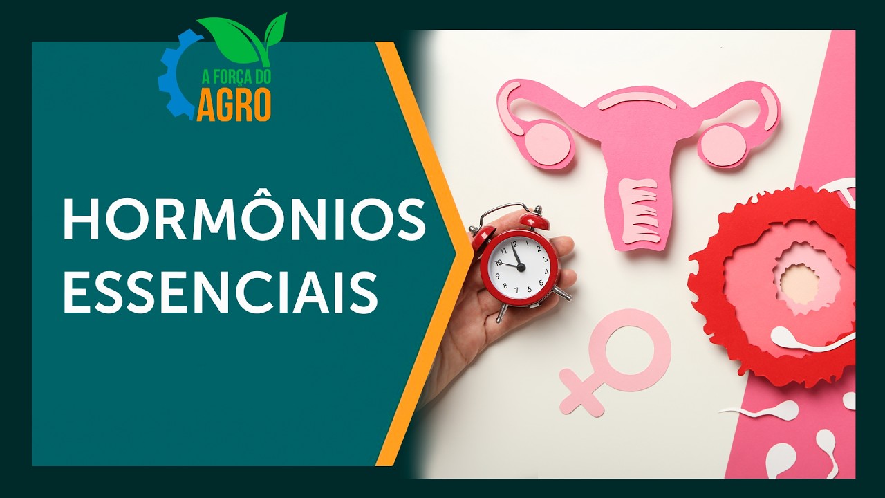 O segredo do ciclo: estradiol e progesterona revelados  |  A Força do Agro, com Joice Maffezzolli