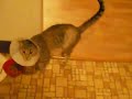 Hi! My name is nod. Hi! My name is nod.