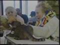 Pet Therapy in Hospitals