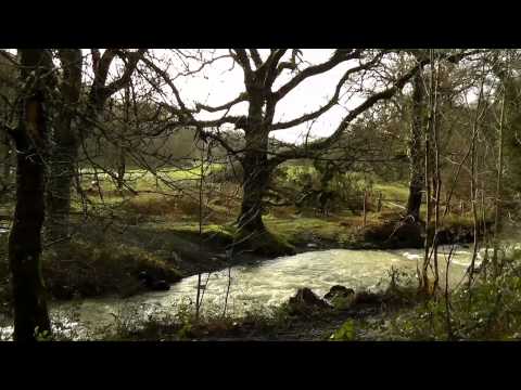 Soggy Bottom Winter MTB XC Race – Round 2 2013 Soggy Bottom Winter MTB XC Race – Round 2 2013