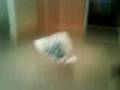 My face flying