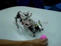 cat robot aibo utm malaysia cat robot biological inspired