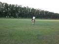videos de taqeando!