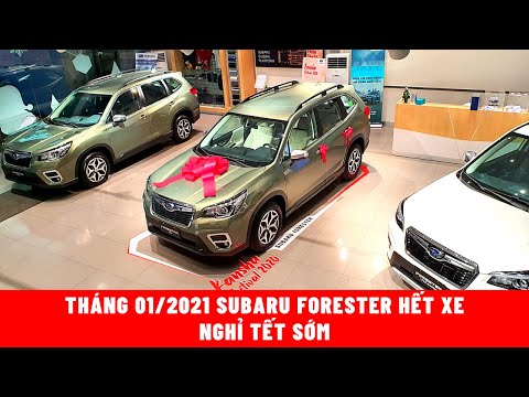 Tháng 01/2021 Subaru Forester hết xe - nghỉ tết sớm || Hoàn Hưng Subaru 0967 446 355