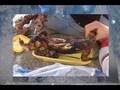 videos de chabab santa coloma de farners