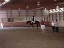 Schroeder (Sandro Hit x Escudo I) Material MWW