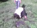 mas weona que caerse al barro