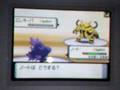 アラン vs NoNo - Pokemon DP Wi-Fi battle movie