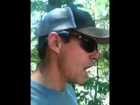 how to cure alt sgpt