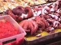 Japanese Food:  Festival Food (bugs, baby chickens etc)