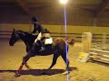 Sylvie/Lulu & Aurelie/King Sylvie/Lulu & Aurelie/King
