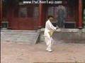 Chen Xiaojia Taijiquan  Straight Sword