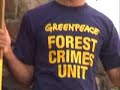 Gli oranghi di Greenpeace a Coverciano
