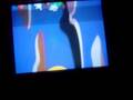 videos de Test
