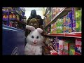 Cartoon Characters - FTC ft D.C., Subsy