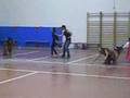Bachillerato baile